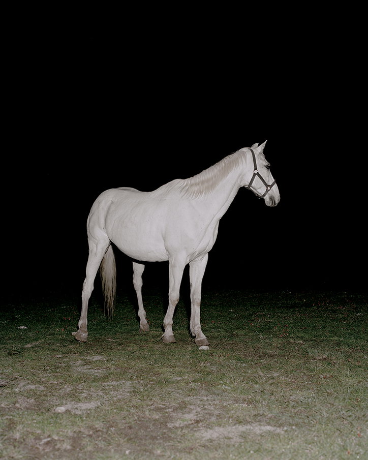 juan-brenner-photography-itsnicethat-2.jpg