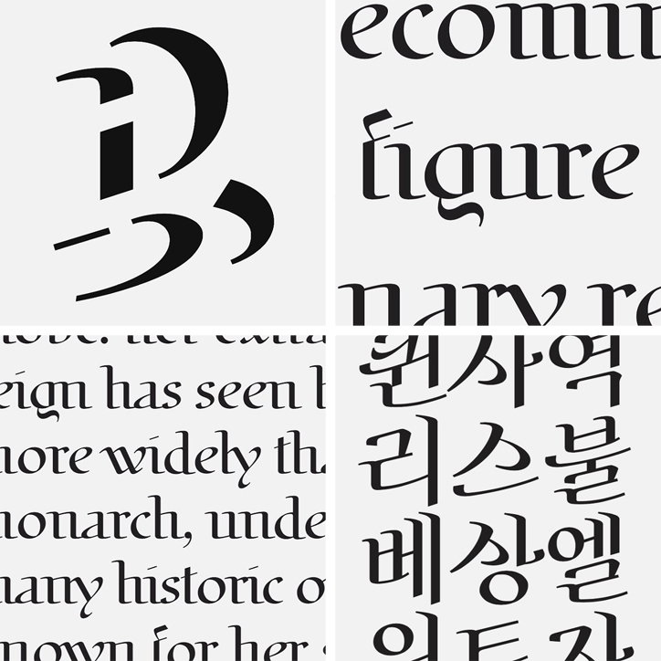 mingoo-yoon-biscriptual-type-work-graphicdesign-itsnicethat-06.jpg