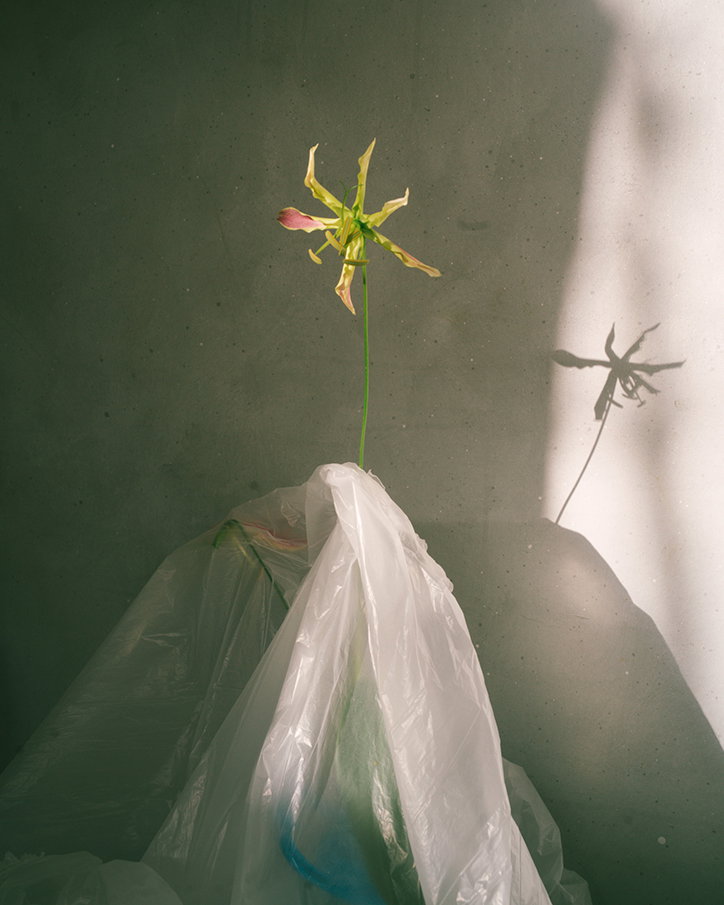 HotPotato-Publication-itsnicethat-10.jpg