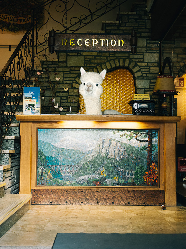 DanielGebhartdeKoekkoek-BetterLivingWithAlpacas-Photography-itsnicethat-00.png