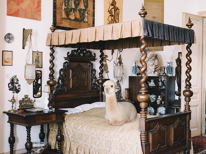 DanielGebhartdeKoekkoek-BetterLivingWithAlpacas-Photography-itsnicethat-01.png