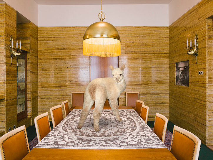 DanielGebhartdeKoekkoek-BetterLivingWithAlpacas-Photography-itsnicethat-04.png