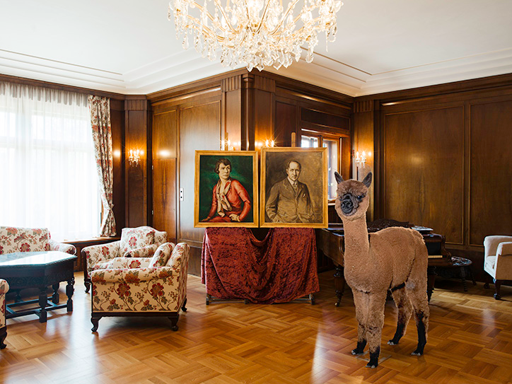 DanielGebhartdeKoekkoek-BetterLivingWithAlpacas-Photography-itsnicethat-08.png
