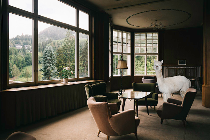 DanielGebhartdeKoekkoek-BetterLivingWithAlpacas-Photography-itsnicethat-09.png