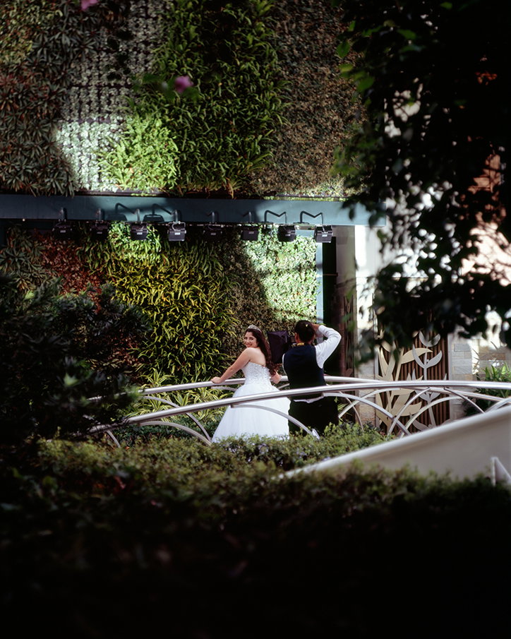 samantha-cabera-friend-maiden-voyage-photography-itsnicethat-8.jpg