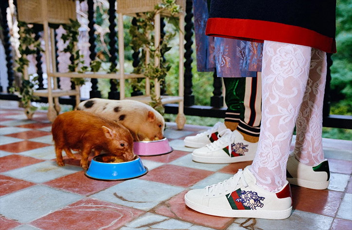 GUCCI-three-little-pigs-animation-02.jpg