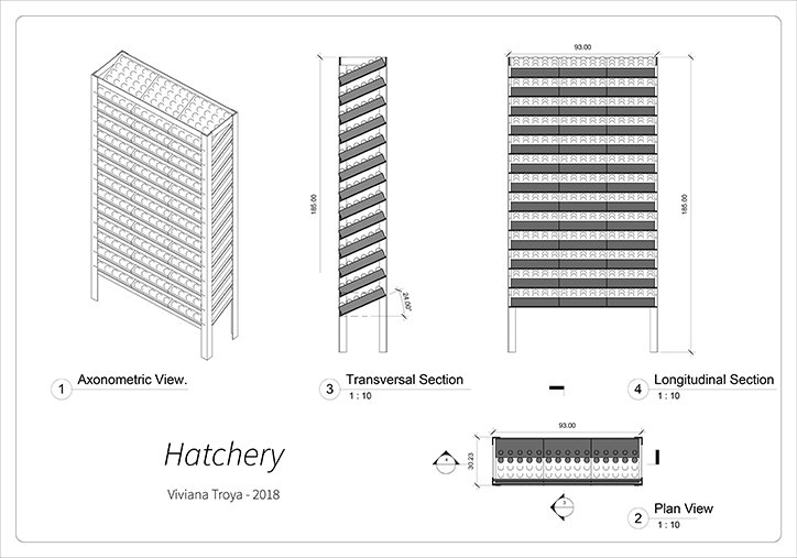 viviana-troya-hatchery-work-art-itsnicethat-07.jpg