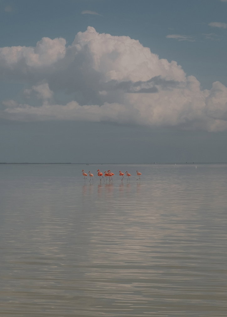 MaximilianVirgili-Mexico-Photography-itsnicethat-03.jpg