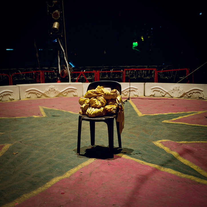 AliceZoo-ArgentinianCircus-Photography-itsnicethat-14.jpg