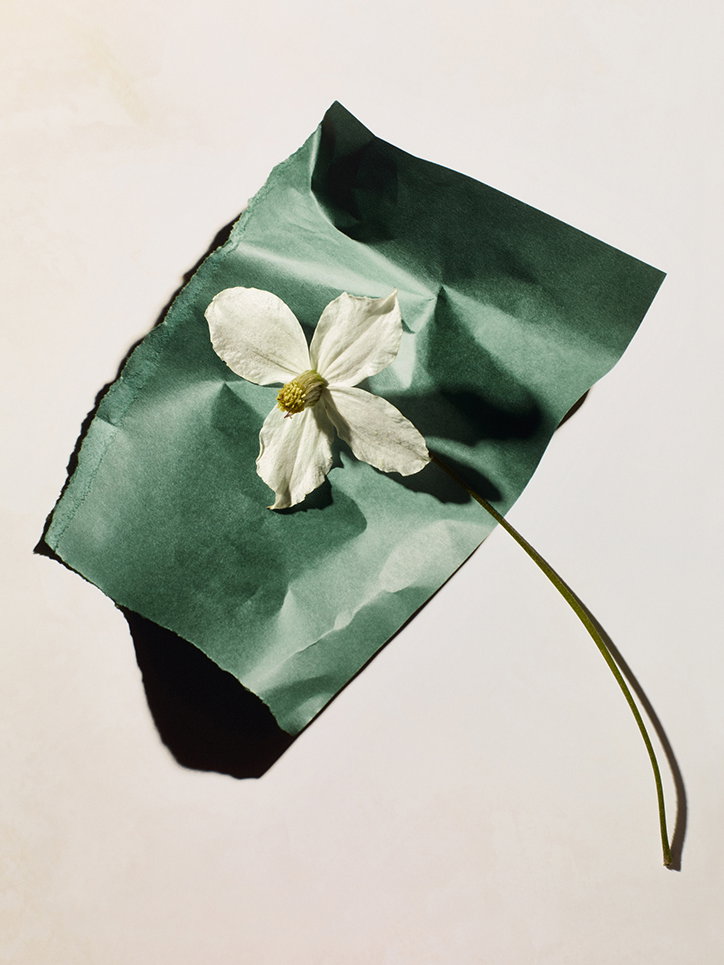 MichaelBodiamSarahParker-Blooms-Photography-itsnicethat-07.jpg