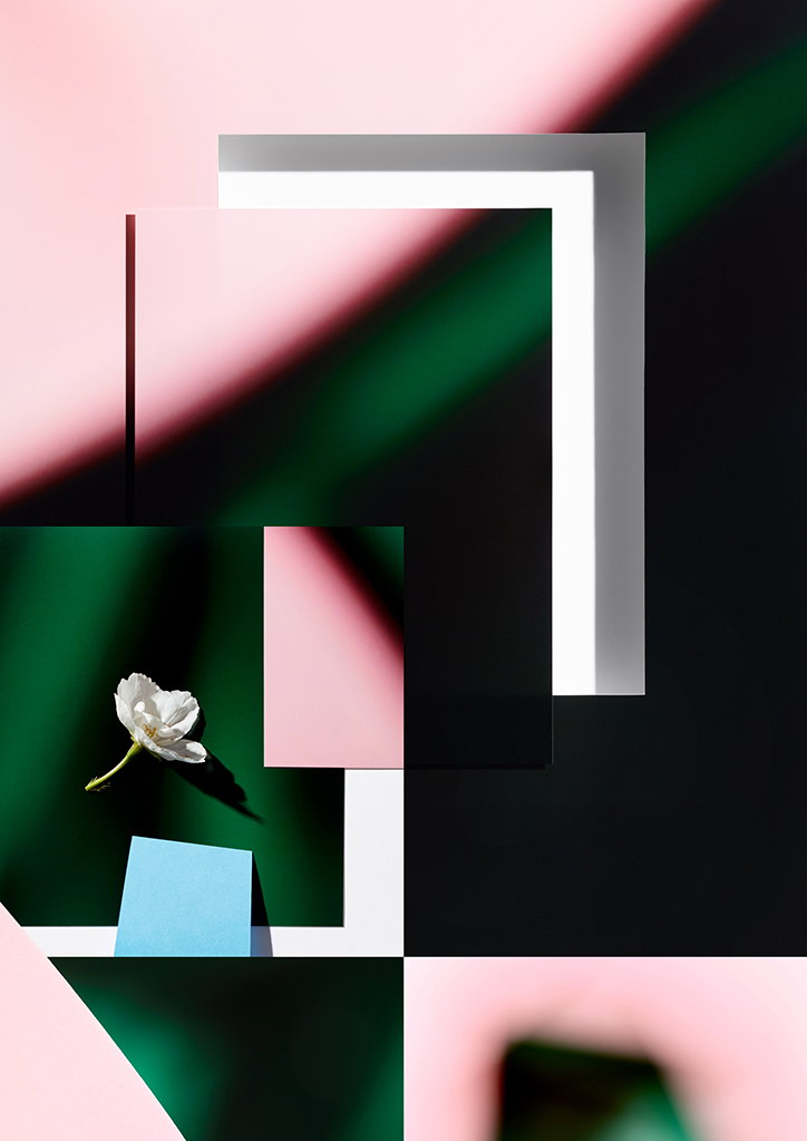 MichaelBodiamSarahParker-Blooms-Photography-itsnicethat-13.jpg