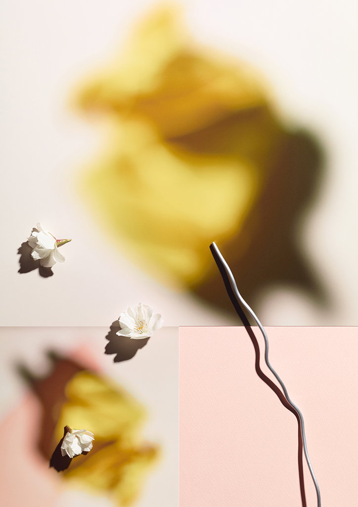 MichaelBodiamSarahParker-Blooms-Photography-itsnicethat-21.jpg