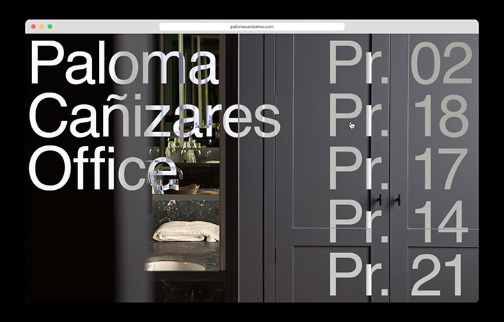 Naranjo-Etxeberria-Paloma-Canizares-GraphicDesign-itsnicethat-05.jpg