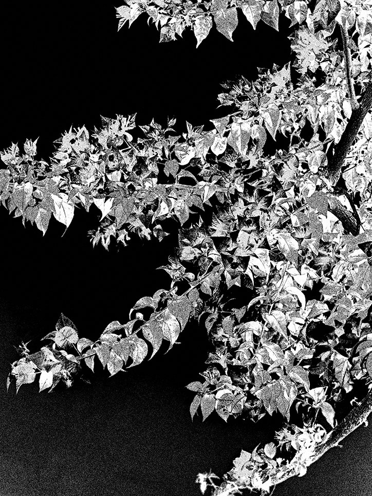 richard-kovacs-vlore-tohimane-to-tirana-photography-itsnicethat-10.jpg