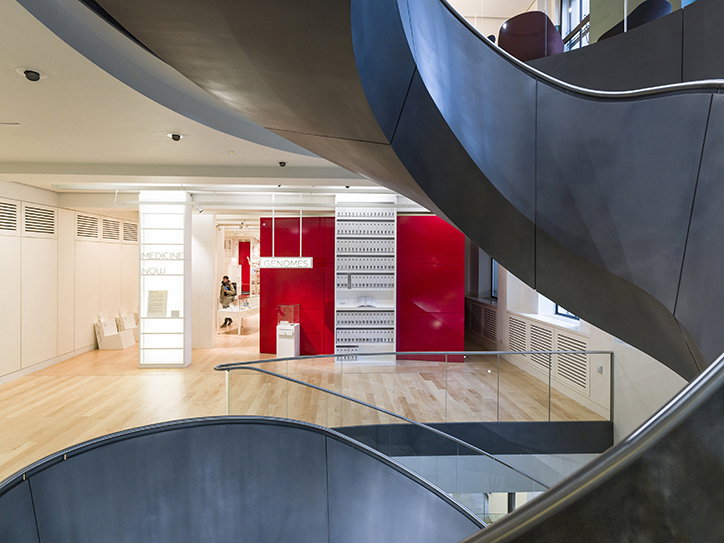 wellcome-exhibition-itsnicethat1.jpg
