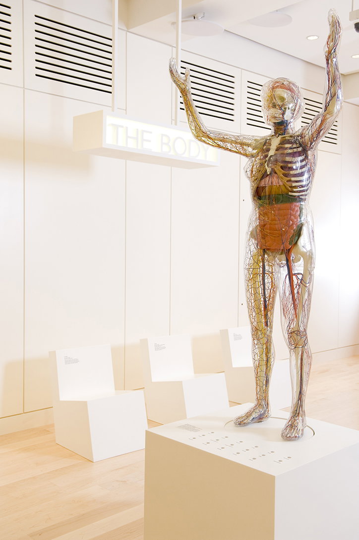 wellcome-exhibition-itsnicethat2.jpg