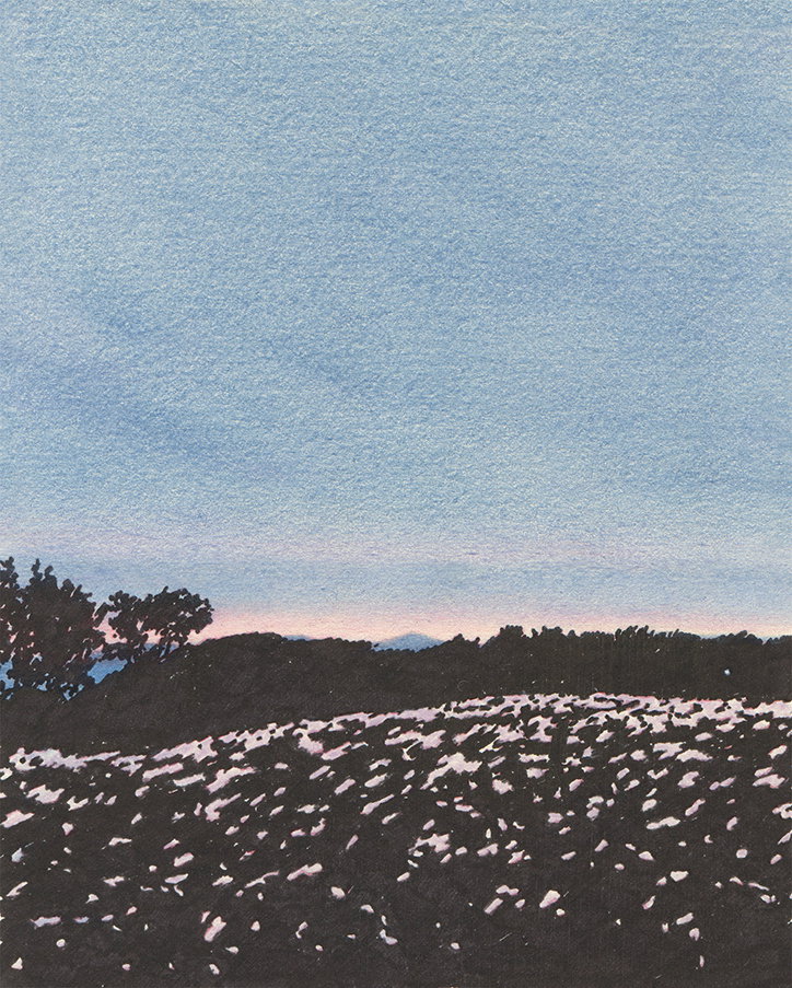 kyutae-lee-work-illustration-itsnicethat-07.jpg
