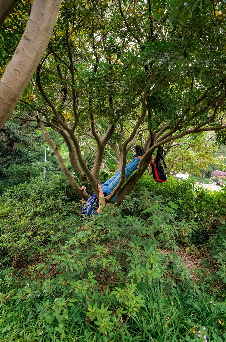 RyanHarding-OldPeopleInParks-Photography-itsnicethat-14.jpg