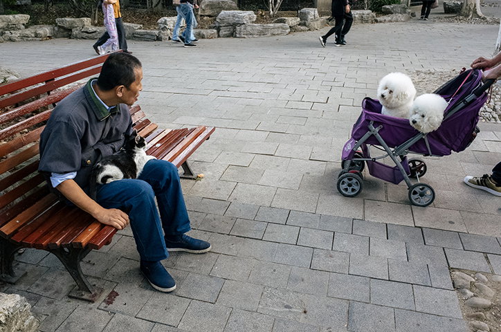 RyanHarding-OldPeopleInParks-Photography-itsnicethat-16.jpg
