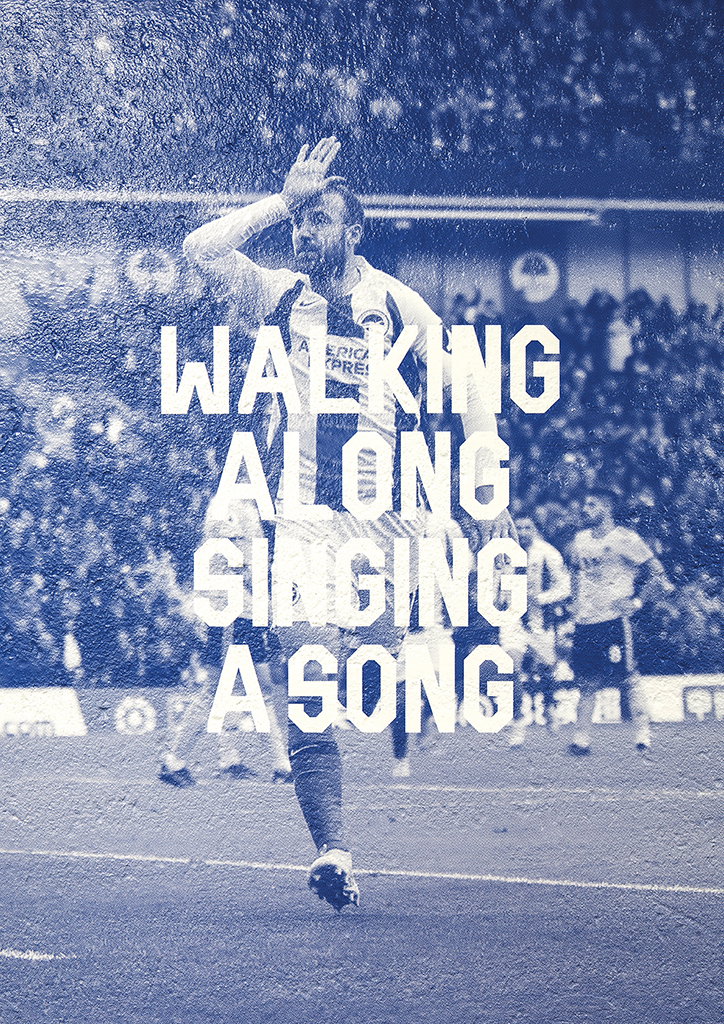 FilthyMedia-BrightonandHoveAlbion-FilthlySeagulDisplay-GraphicDesign-itsnicethat-05.jpg