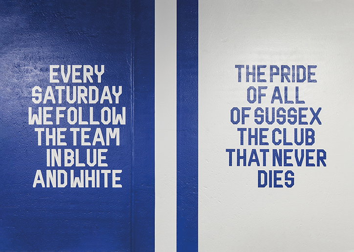FilthyMedia-BrightonandHoveAlbion-FilthlySeagulDisplay-GraphicDesign-itsnicethat-08.jpg
