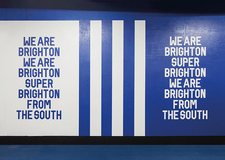 FilthyMedia-BrightonandHoveAlbion-FilthlySeagulDisplay-GraphicDesign-itsnicethat-10.jpg