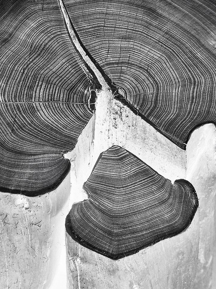 philotheus-nitsch-photography-itsnicethat-5.jpg