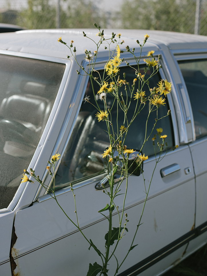 christopher-nunn-hr4-photography-itsnicethat-01.jpg