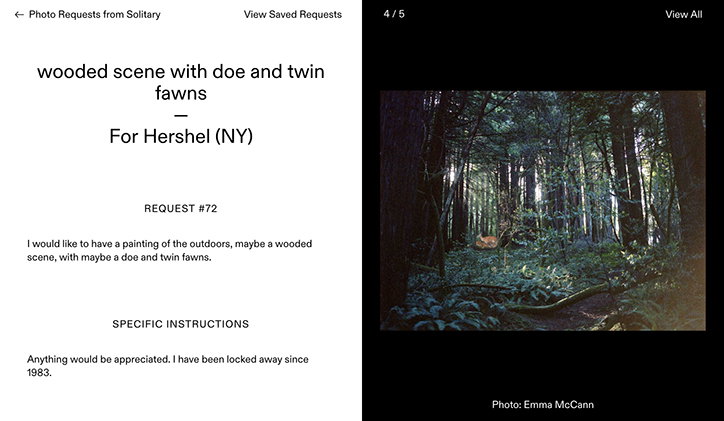 platform-PRFS-graphic-design-itsnicethat-04.jpg
