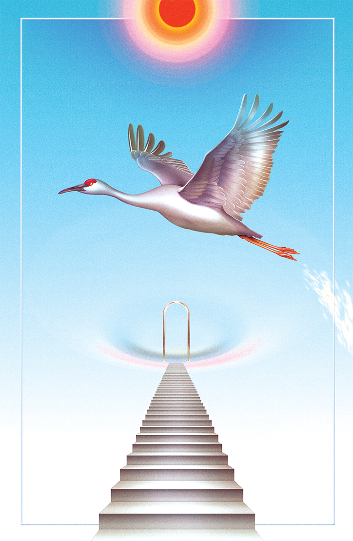 keith-rankin-illustration-itsnicethat-11.png