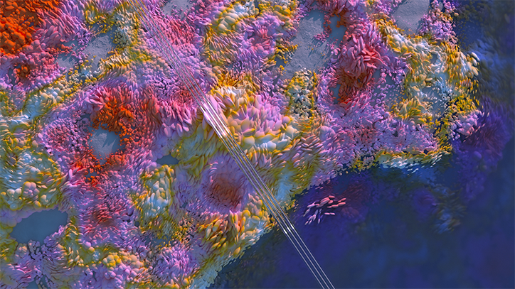 pitch-studios-virtual-gap-year-work-animation-film-itsnicethat-02.png
