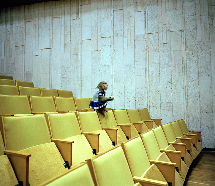 michal-solarski-photography-itsnicethat-5.jpg