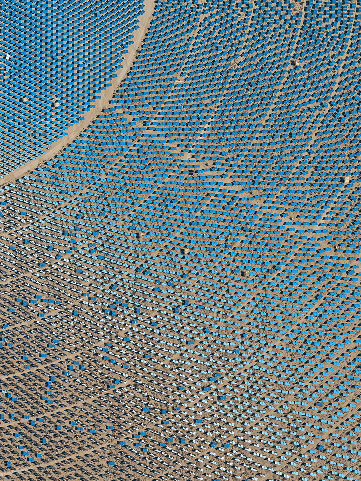 BernhardLang-SolarPlants-Photography-itsnicethat-18.jpg