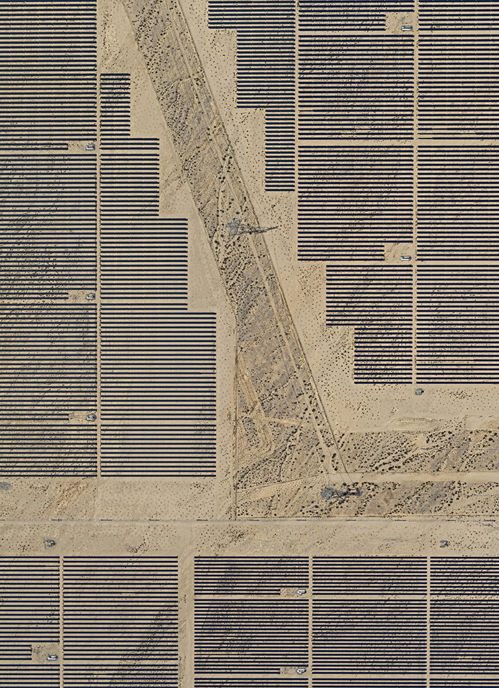 BernhardLang-SolarPlants-Photography-itsnicethat-01.jpg
