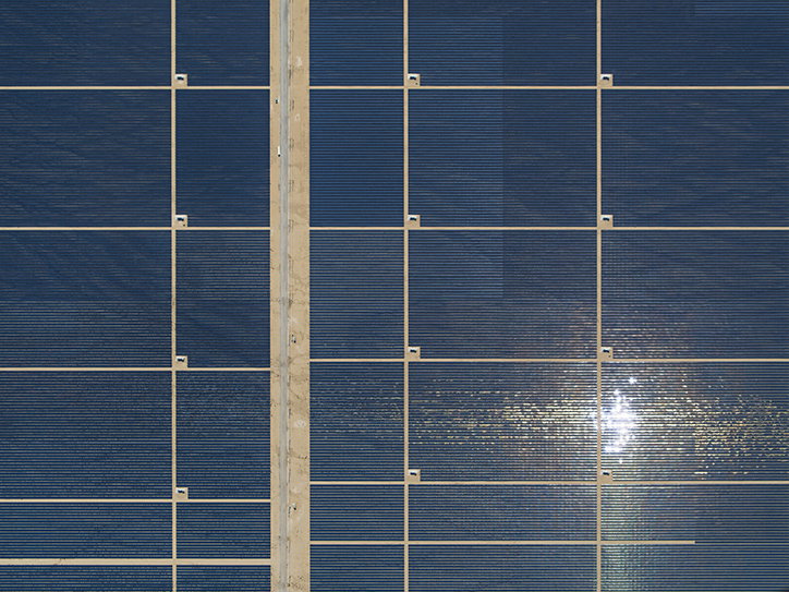 BernhardLang-SolarPlants-Photography-itsnicethat-06.jpg