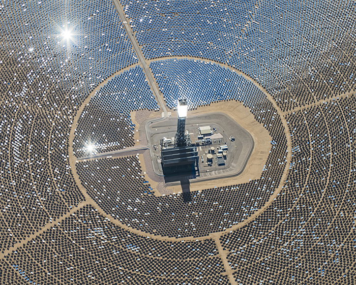 BernhardLang-SolarPlants-Photography-itsnicethat-08.jpg
