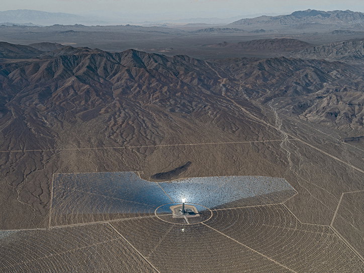 BernhardLang-SolarPlants-Photography-itsnicethat-09.jpg