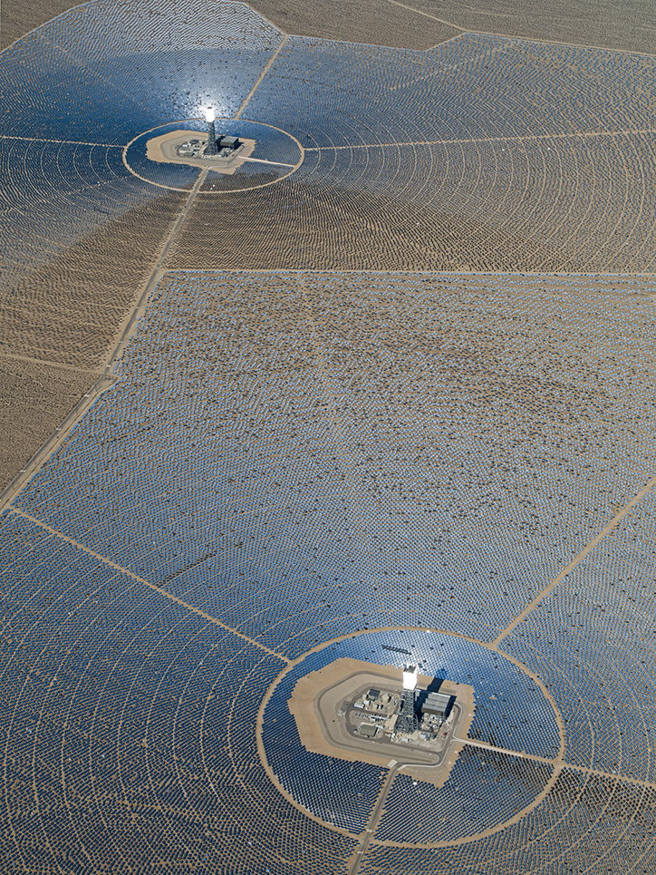 BernhardLang-SolarPlants-Photography-itsnicethat-13.jpg