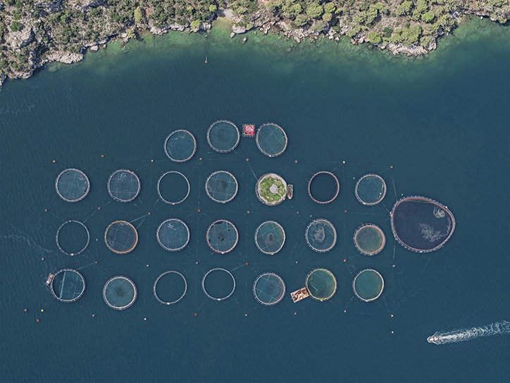 BernhardLang-FishFarms-Photography-itsnicethat-02.jpg