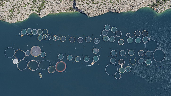 BernhardLang-FishFarms-Photography-itsnicethat-01.jpg