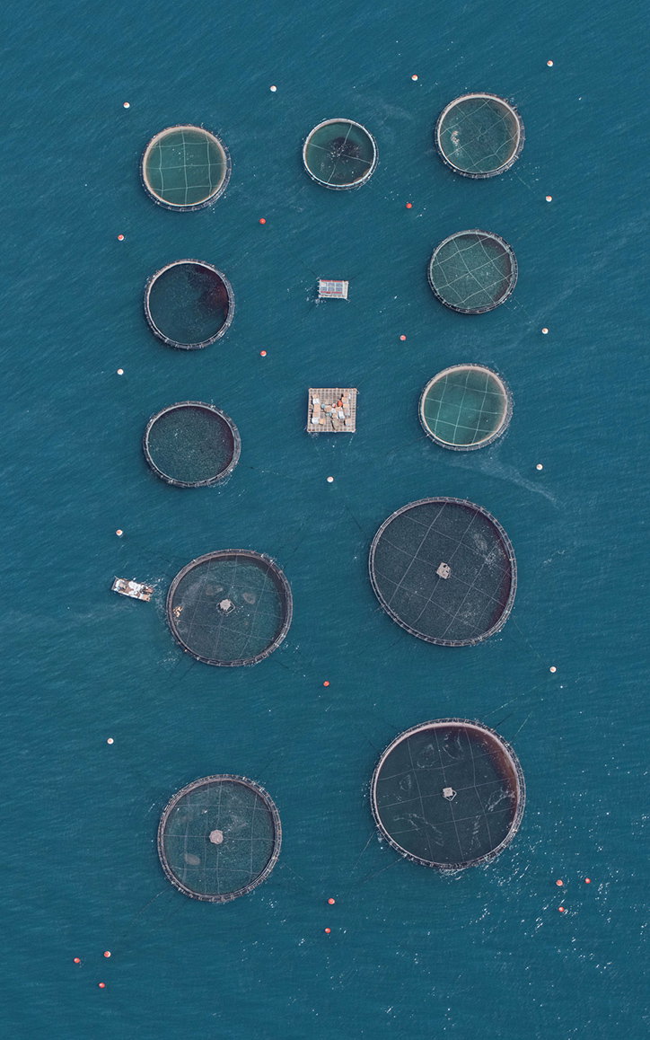 BernhardLang-FishFarms-Photography-itsnicethat-04.jpg
