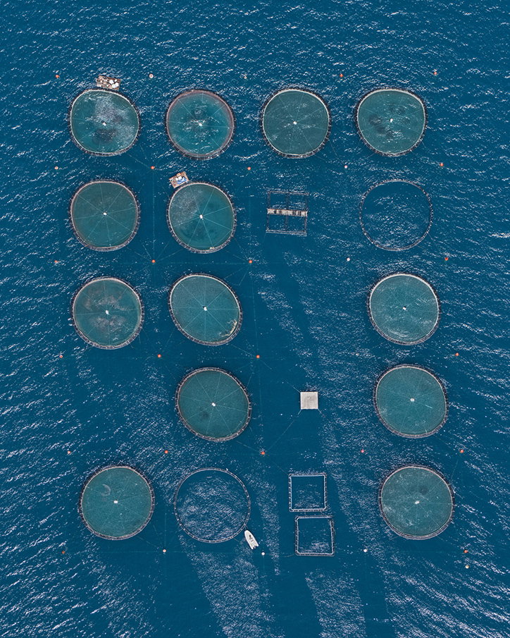 BernhardLang-FishFarms-Photography-itsnicethat-06.jpg