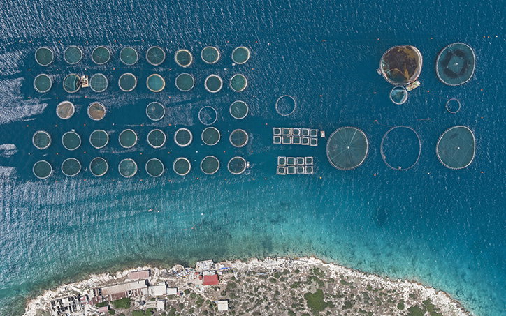 BernhardLang-FishFarms-Photography-itsnicethat-07.jpg