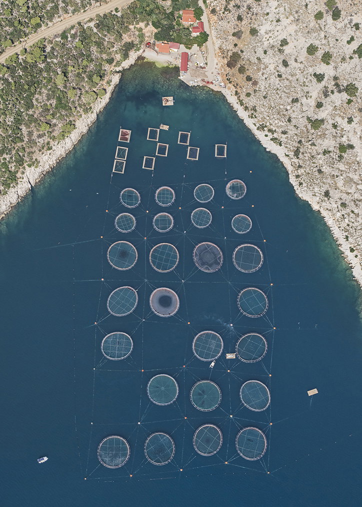 BernhardLang-FishFarms-Photography-itsnicethat-08.jpg