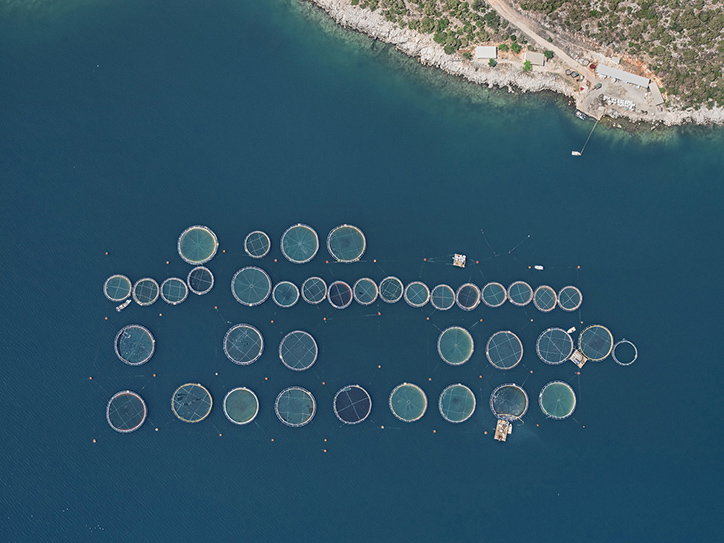 BernhardLang-FishFarms-Photography-itsnicethat-09.jpg