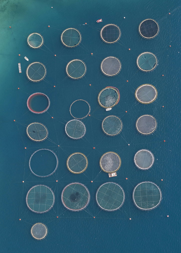 BernhardLang-FishFarms-Photography-itsnicethat-11.jpg