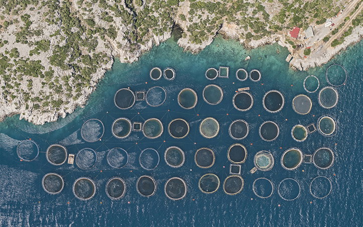 BernhardLang-FishFarms-Photography-itsnicethat-12.jpg