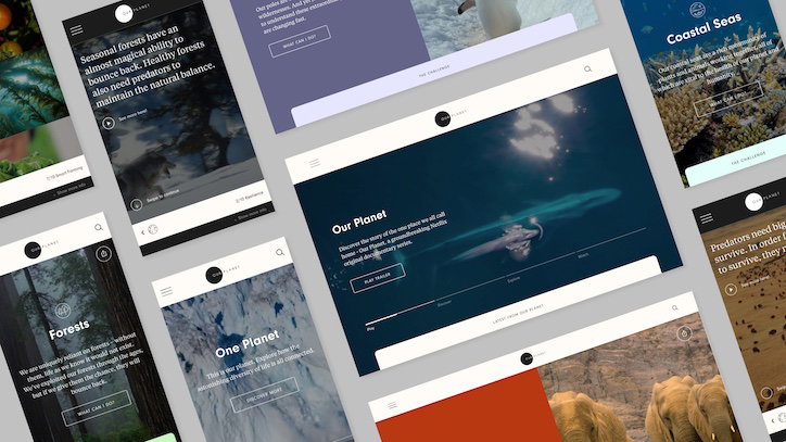 B-reel-our-planet-david-attenborough-website-digital-itsnicethat-02.jpg