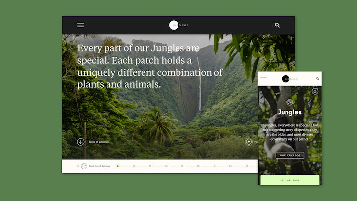 B-reel-our-planet-david-attenborough-website-digital-itsnicethat-03.jpg