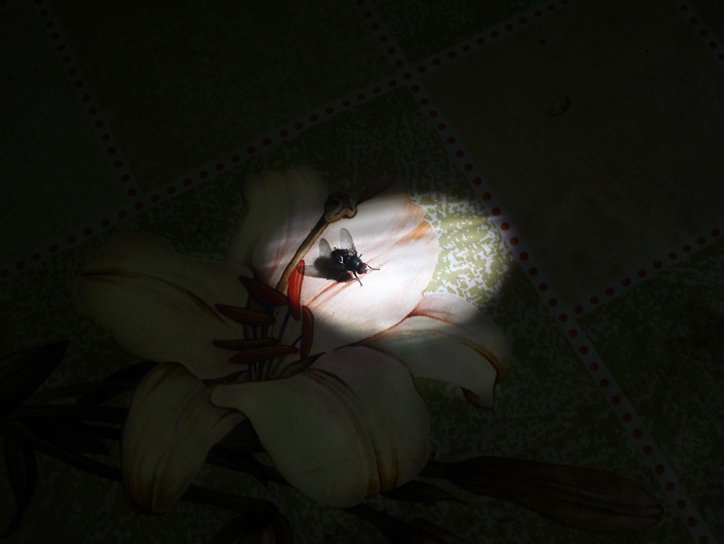patrick-wassman-mukachevo-work-photography-04.jpg